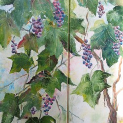 Druiven in mijn tuin