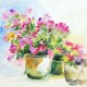 Drie bakken met bloemen